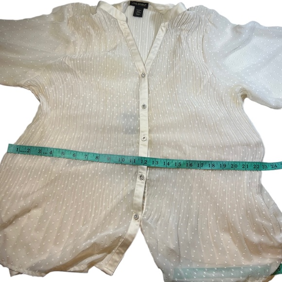 Lane Bryant Sheer Cream Pleated Blouse size 22/24 - Picture 13 of 16